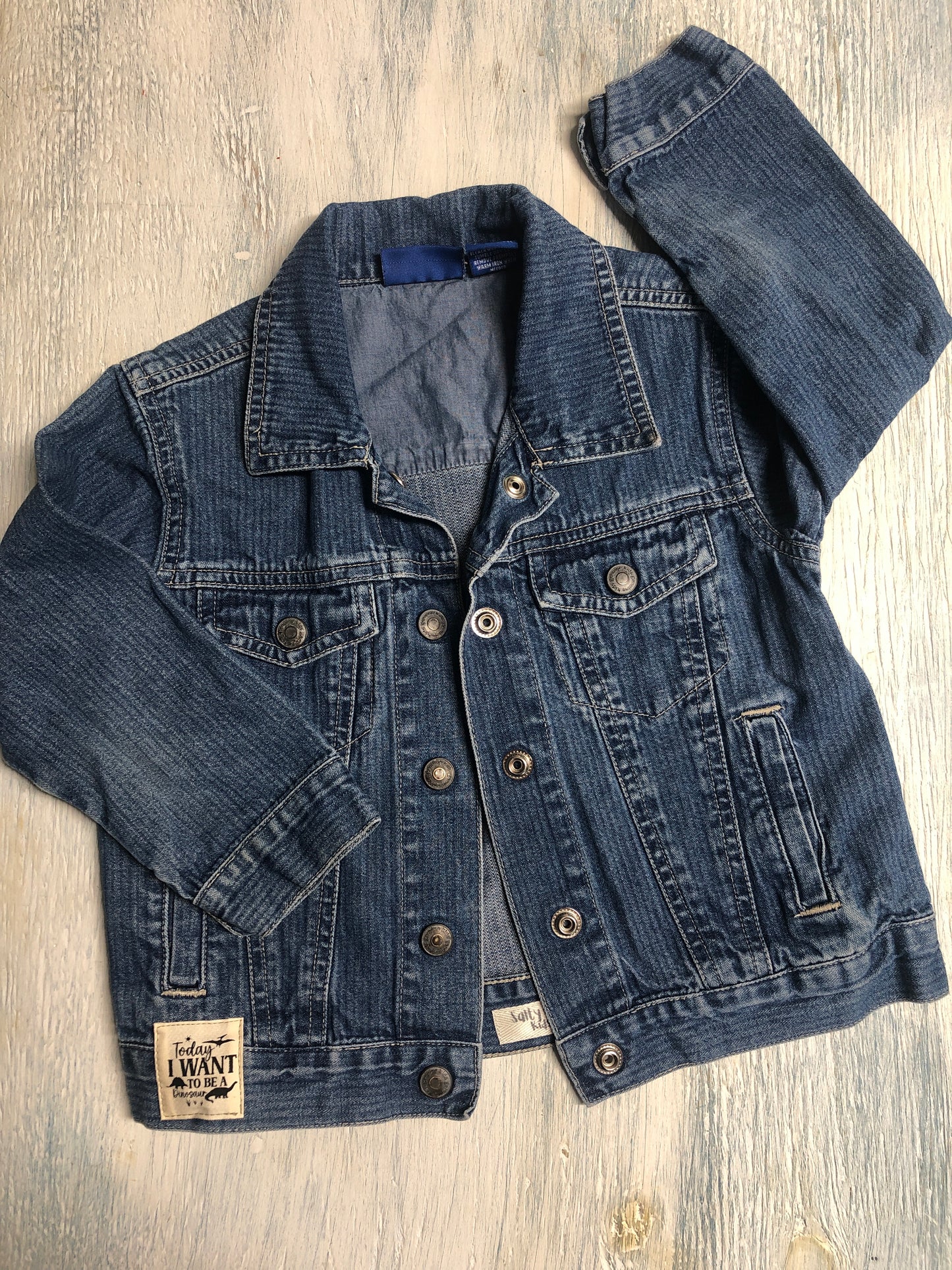 Today I want to be a Dinosaur, Upcycled Denim Jacket -Boy size 3t