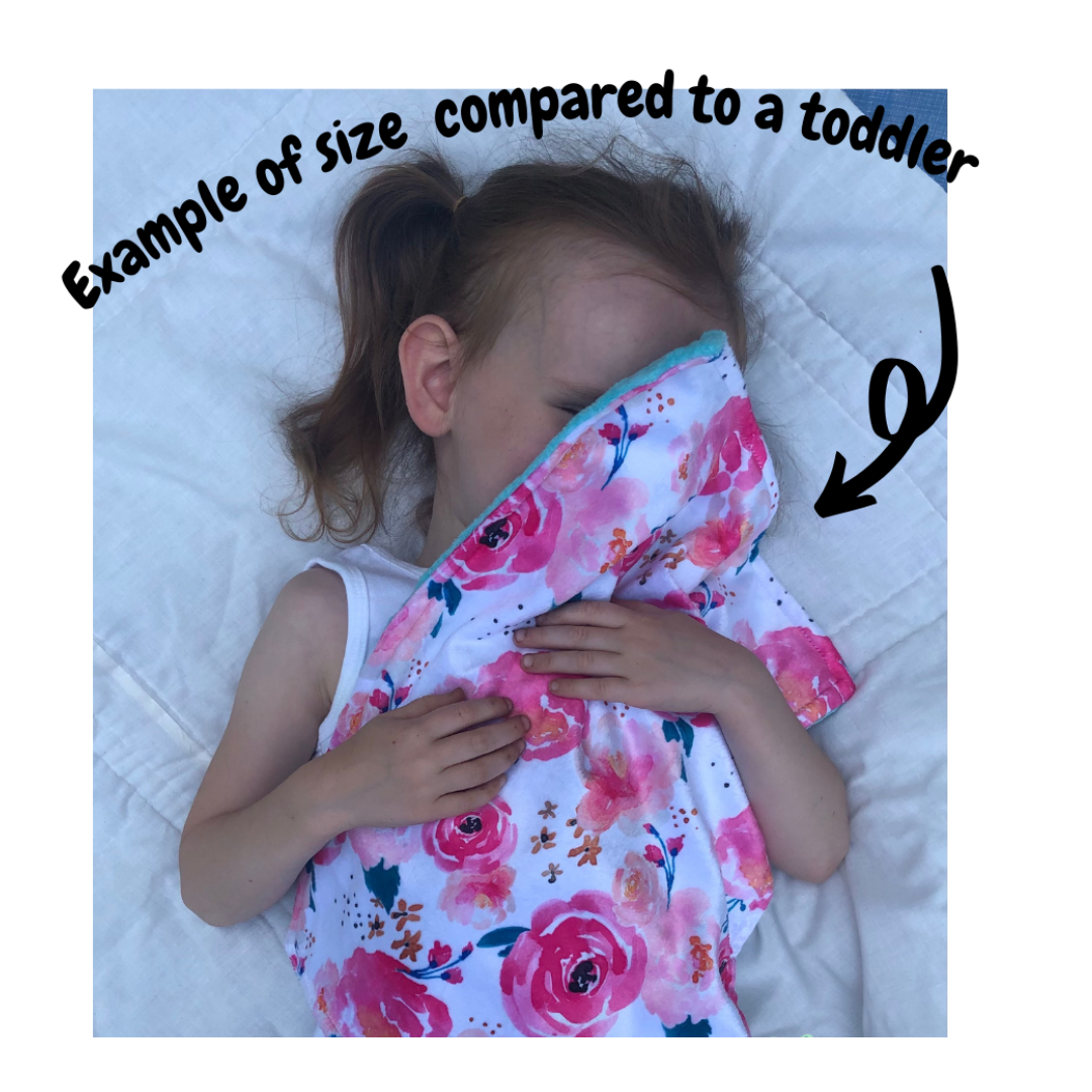Flamingo Minky Lovey Security Blanket