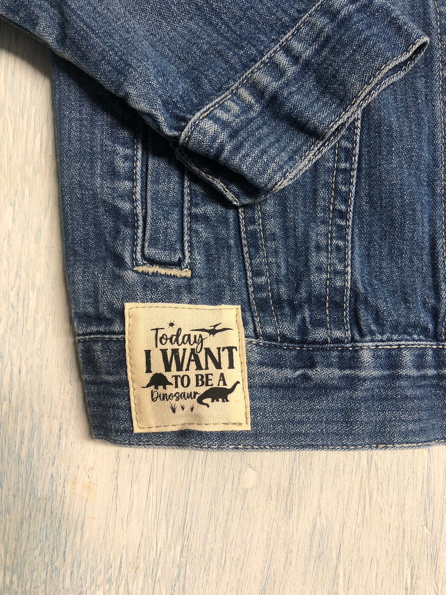 Today I want to be a Dinosaur, Upcycled Denim Jacket -Boy size 3t