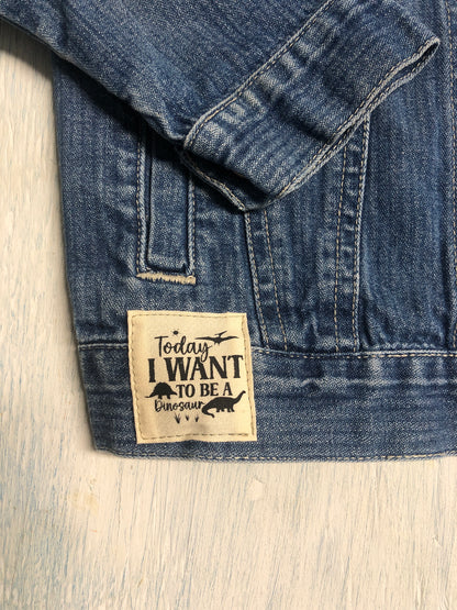 Today I want to be a Dinosaur, Upcycled Denim Jacket -Boy size 3t